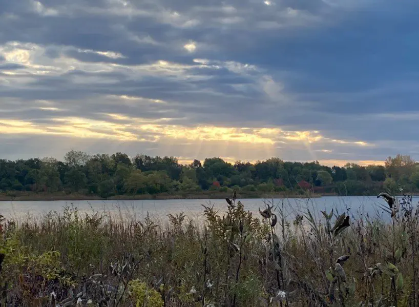 A body of water with trees in the background