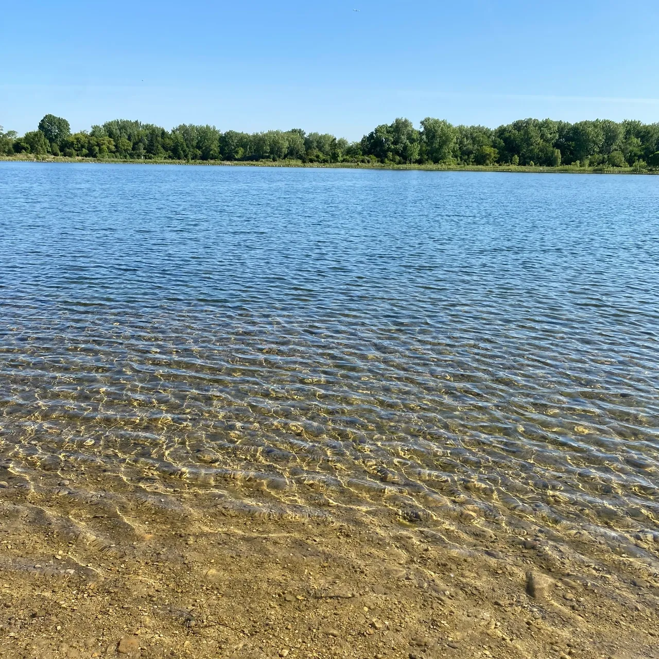 A body of water with trees in the background.