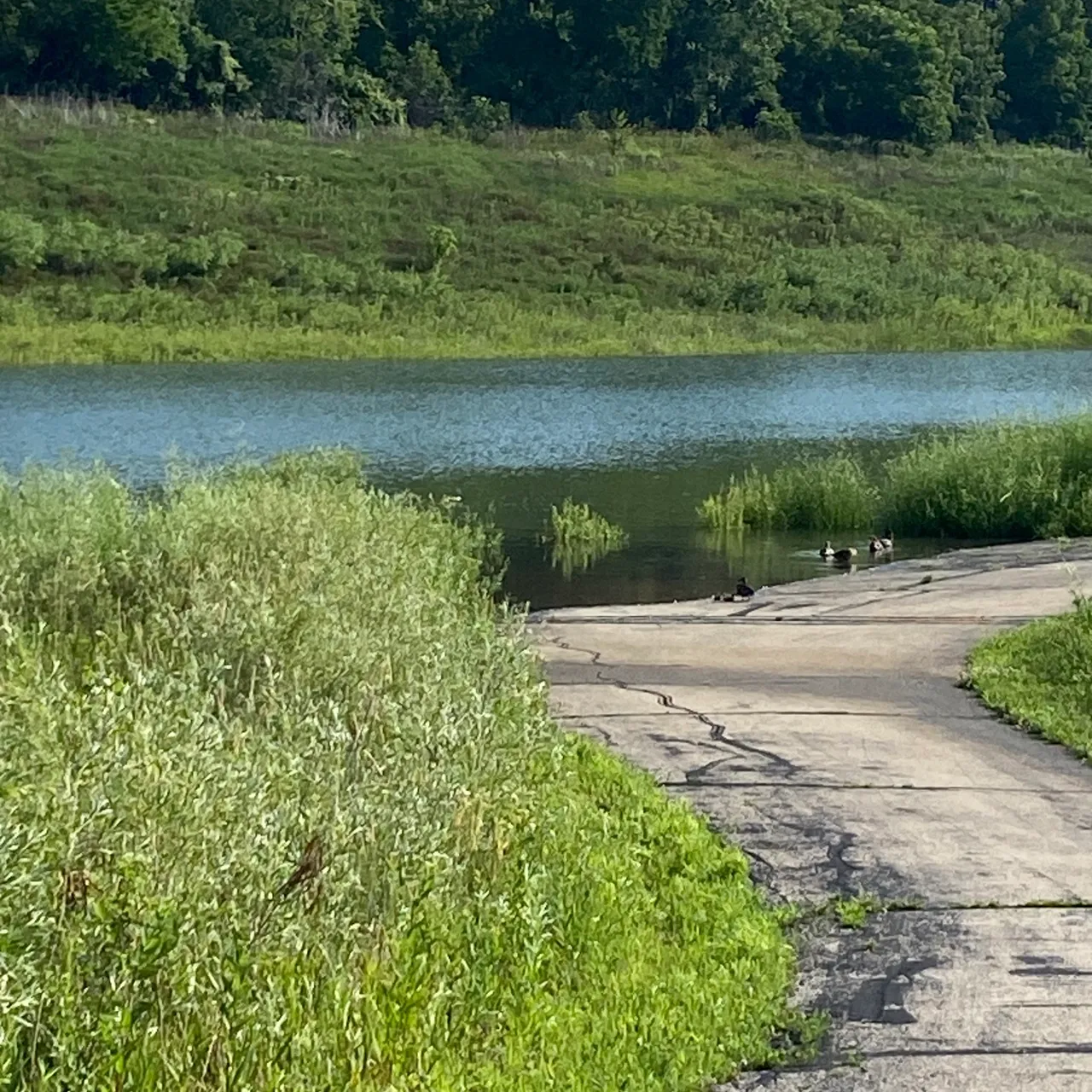 A road next to a body of water