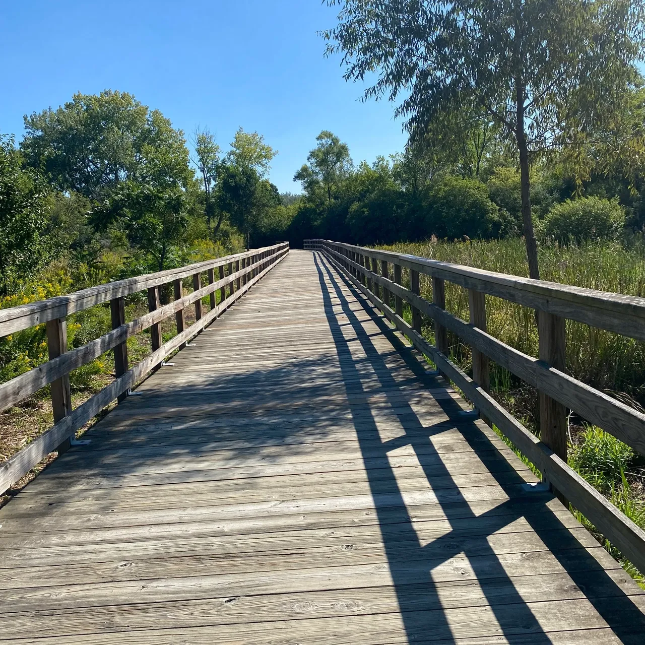 A wooden bridge with trees in the background