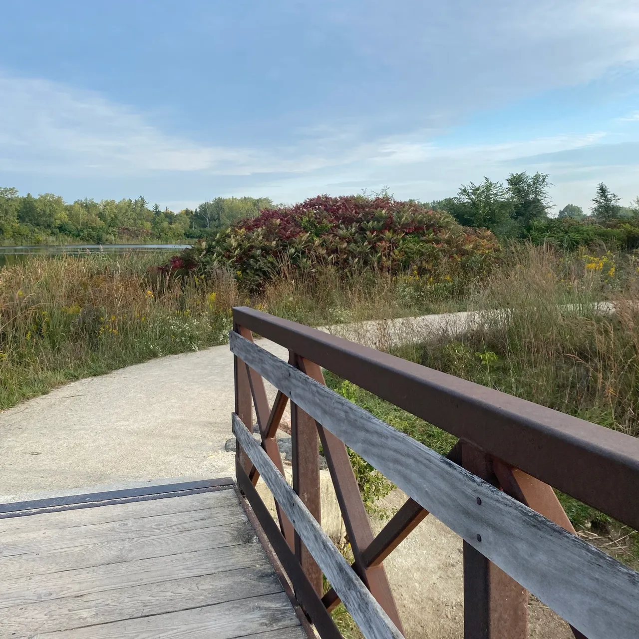 A wooden railing on the side of a path.