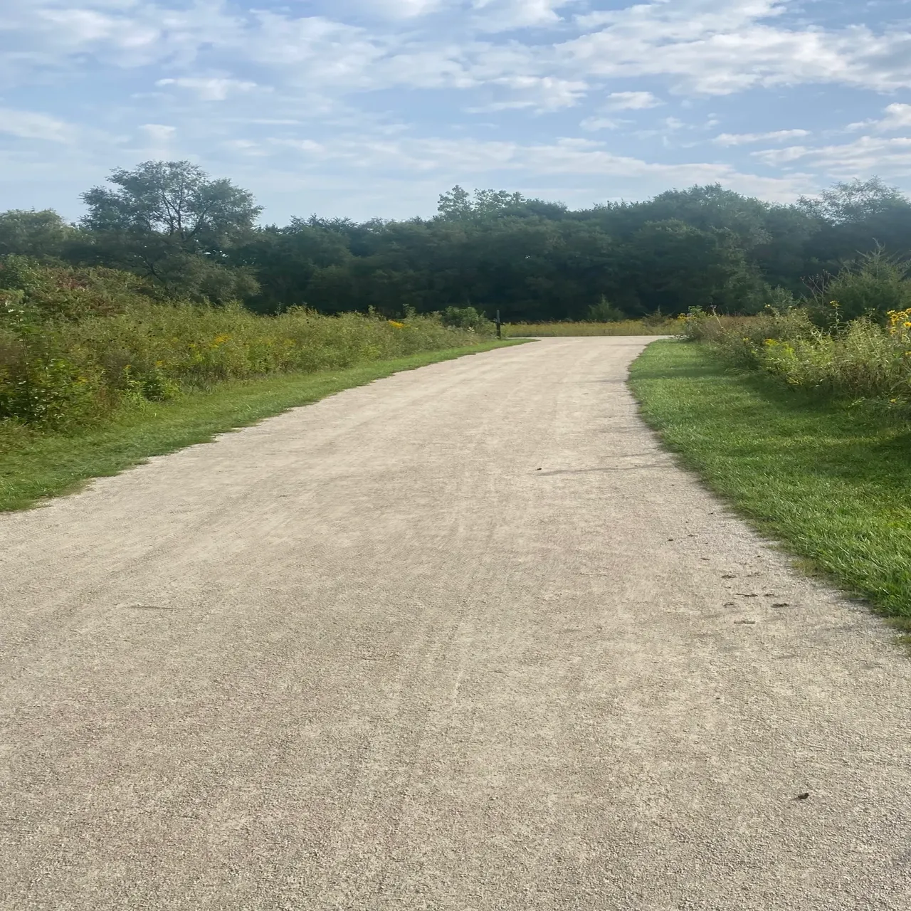 A road with grass and trees in the background.