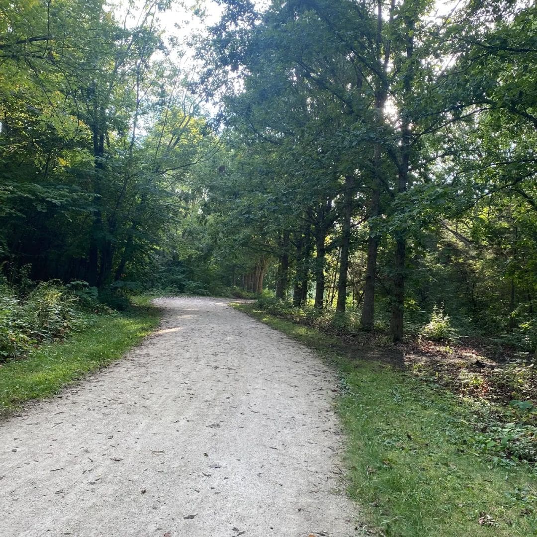 A dirt road with trees and grass on both sides.